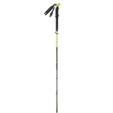 hiking poles Viking Terve black/lime