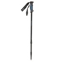 turistické palice Viking KALIO black/blue