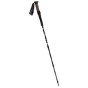 hiking poles Viking NELIO PRO black/grey