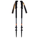 hiking poles Viking Kangri grey/ orange