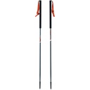 hiking poles Viking Mission grey/orange