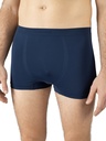 men's functional boxer shorts viking Breezer Man gray